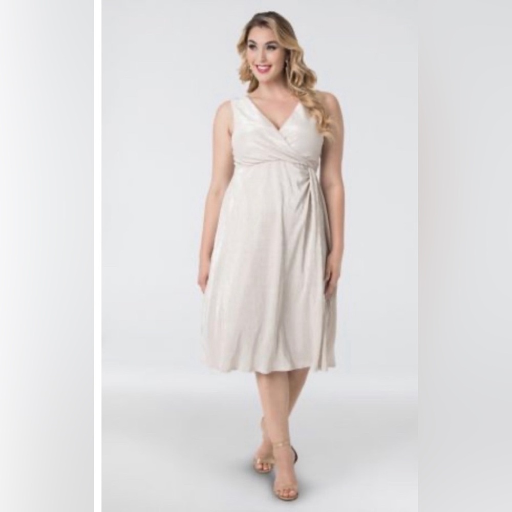 Kiyonna spotlight cinch dress